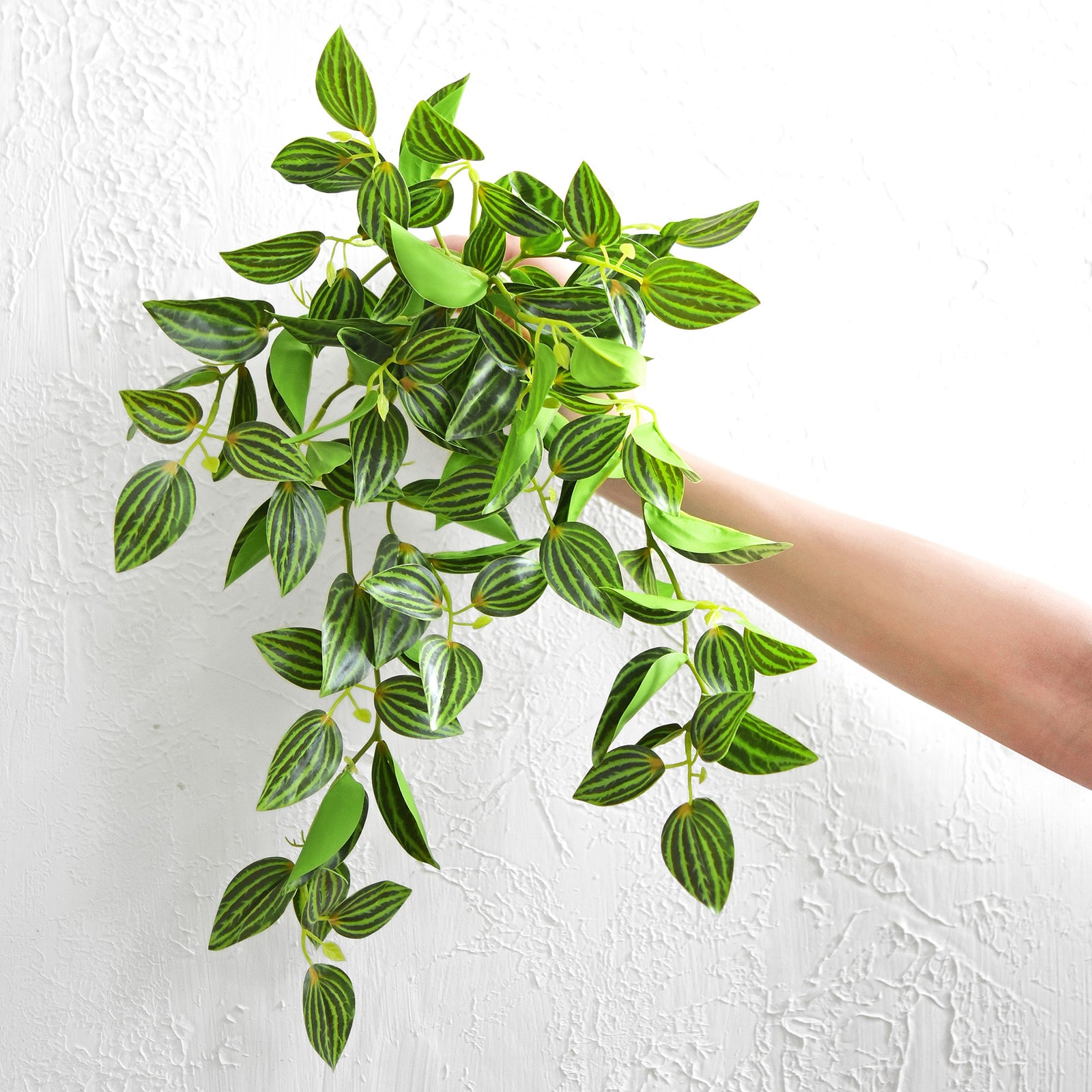 FiveSeasonStuff Real Touch Artificial Hanging Plant Watermelon Peperomia Home Decor 2 Stems