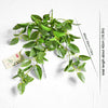 Translation missing: pt-PT.sections.featured_product.gallery_thumbnail_alt
