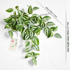 Translation missing: es.sections.featured_product.gallery_thumbnail_alt
