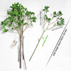 Translation missing: pt-PT.sections.featured_product.gallery_thumbnail_alt
