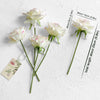 Translation missing: pt-PT.sections.featured_product.gallery_thumbnail_alt
