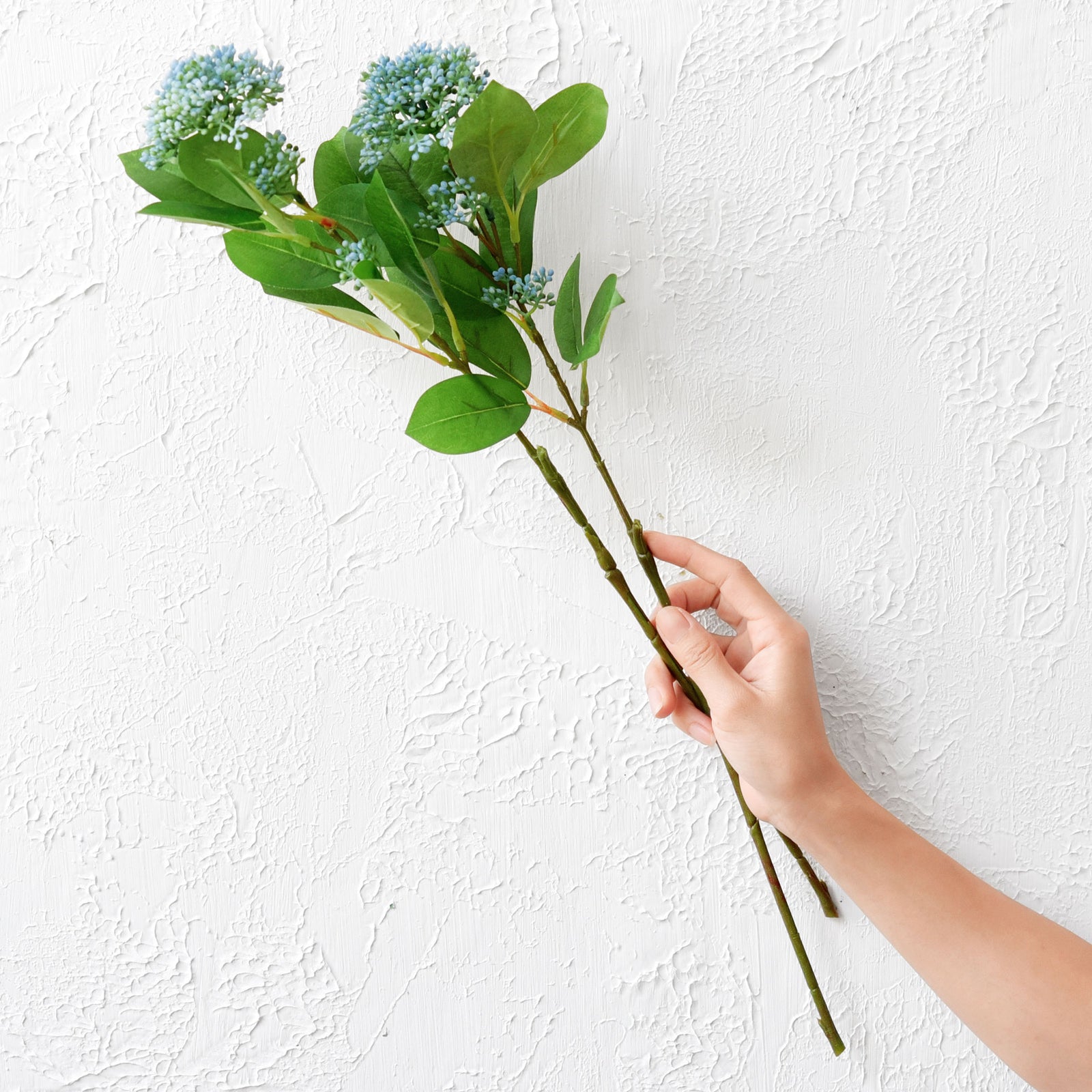Viburnum (Waxy Blue) Long Stem Artificial Silk Flowers, Filler Flower, Wedding, Home Decor, Arrangment 6 Stems