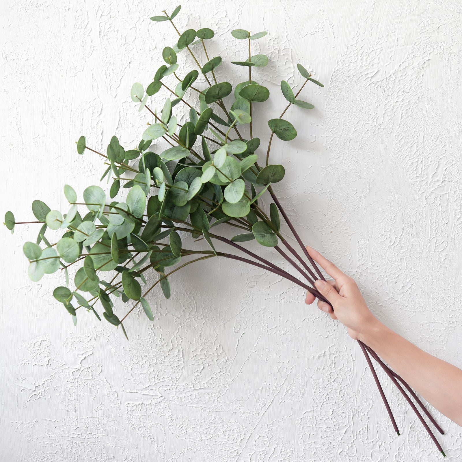 FiveSeasonStuff Real Touch Silver Dollar Eucalyptus 3D Pringting Texture Artificial Eucalyptus Leaves Decoration Home Décor ( select 3 or 5 Stems)