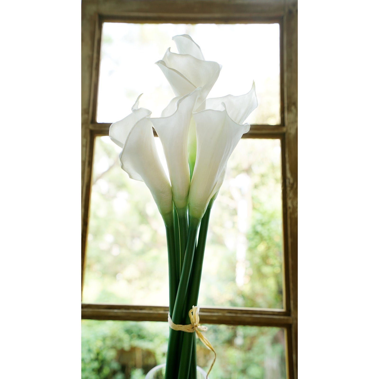 long stem white lilies White Real Touch Large Size Calla Lilies Artificial Flower Bouquet 6 S – FiveSeasonStuff