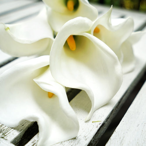 White Real Touch Large Size Calla Lilies Artificial Flower Bouquet 6 Stems