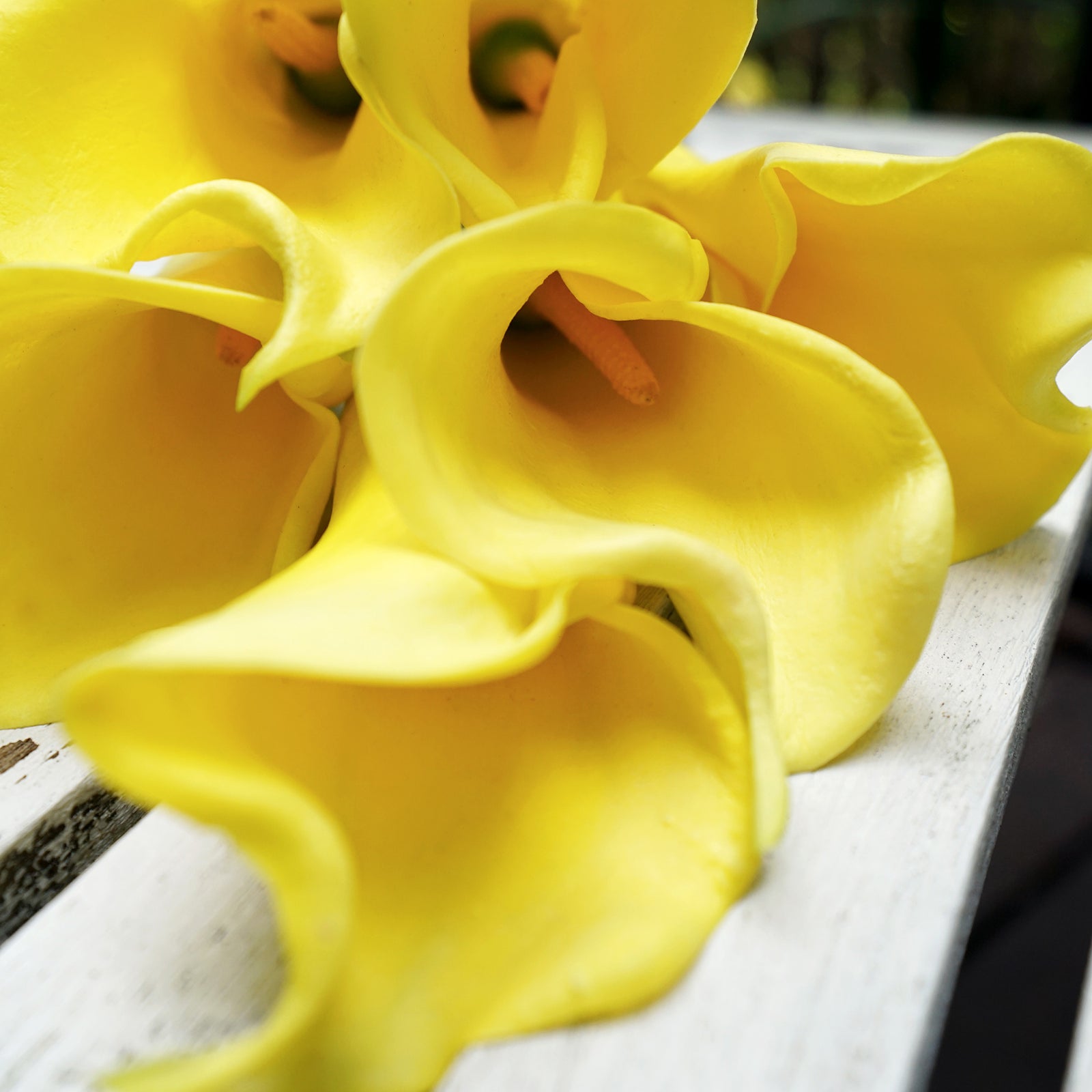 Bright Yellow Real Touch Large Size Calla Lilies Artificial Flower Bouquet 6 Stems
