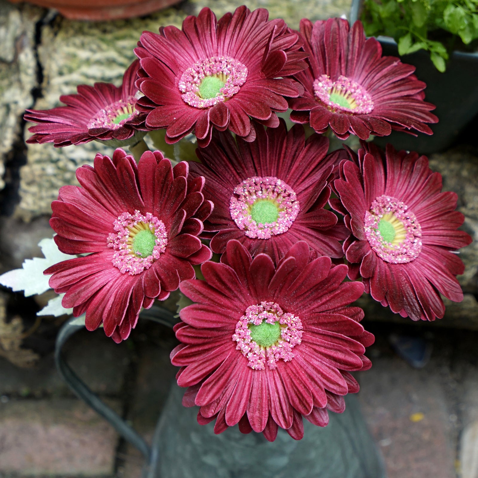 Real Touch Gerbera Flower Stems, Set of 7, 12.2 Inch – 8 Colors