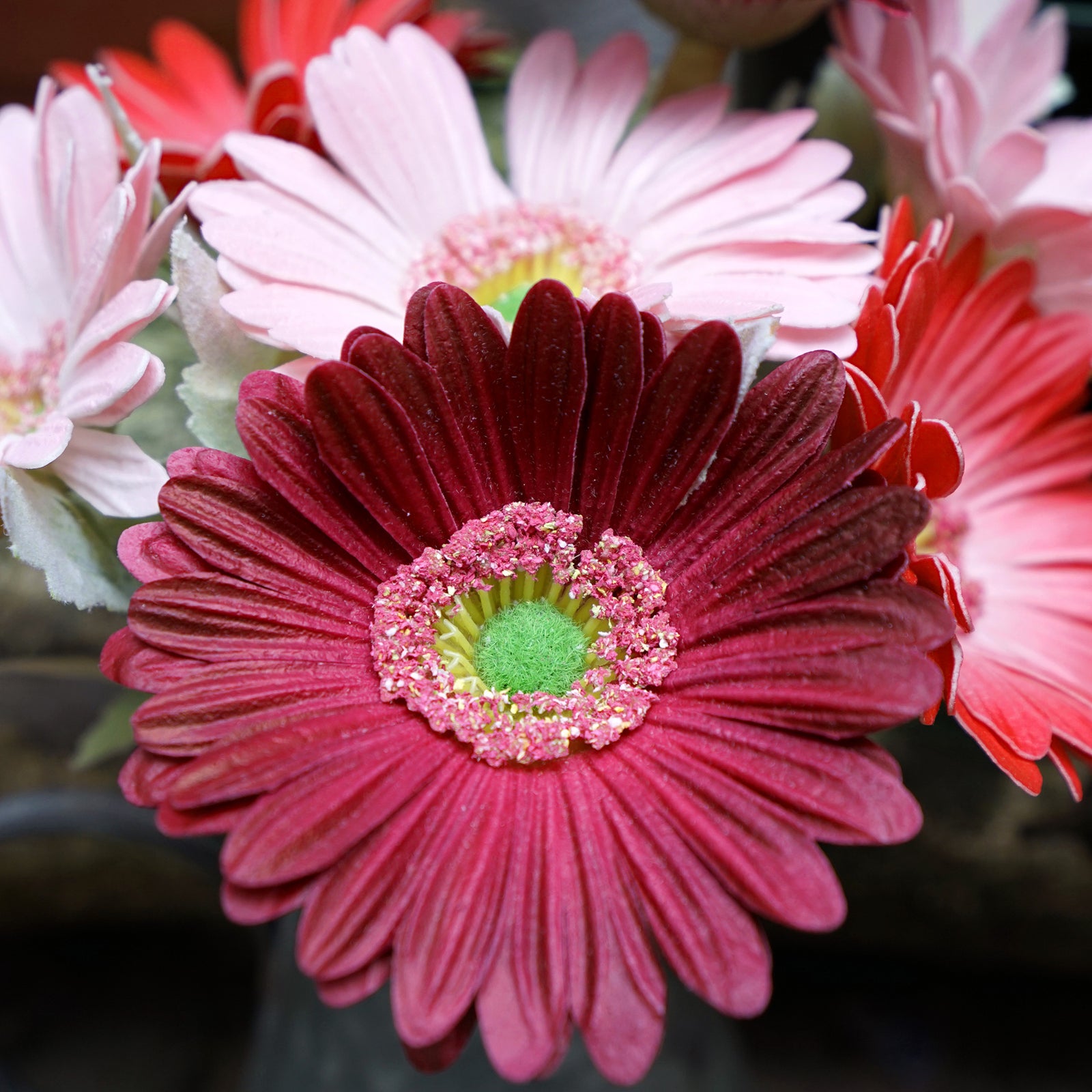 Real Touch Gerbera Flower Stems, Set of 7, 12.2 Inch – 8 Colors