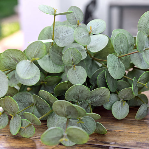 FiveSeasonStuff Real Touch Silver Dollar Eucalyptus 3D Pringting Texture Artificial Eucalyptus Leaves Decoration Home Décor ( select 3 or 5 Stems)