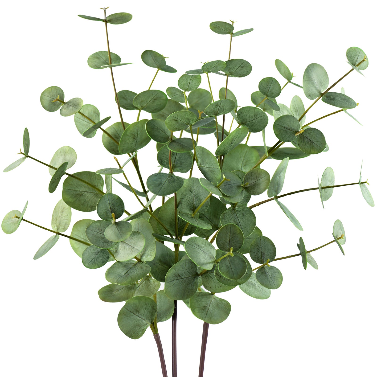 FiveSeasonStuff Real Touch Silver Dollar Eucalyptus 3D Pringting Texture Artificial Eucalyptus Leaves Decoration Home Décor ( select 3 or 5 Stems)
