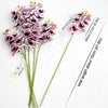 Translation missing: pt-PT.sections.featured_product.gallery_thumbnail_alt

