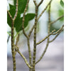 Translation missing: pt-PT.sections.featured_product.gallery_thumbnail_alt
