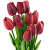 Dark Red