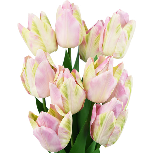 FiveSeasonStuff Real Touch Long Stems Parrot Tulips Artificial Flowers Bouquet [3D Printed] (Meadow Pink) 10 Stems