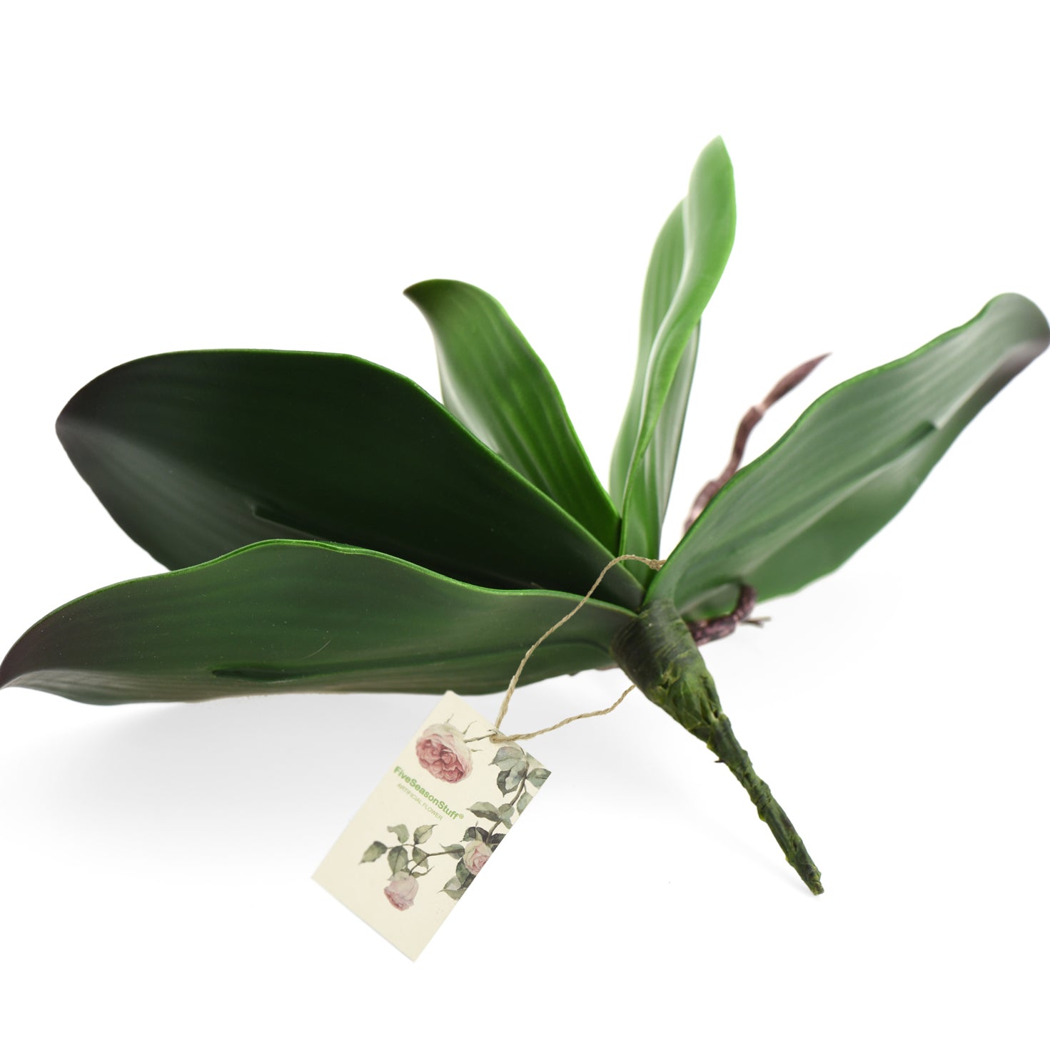 Small Artificial Real Touch Orchid Leaf& Root Bundles,Simulation Green Plants