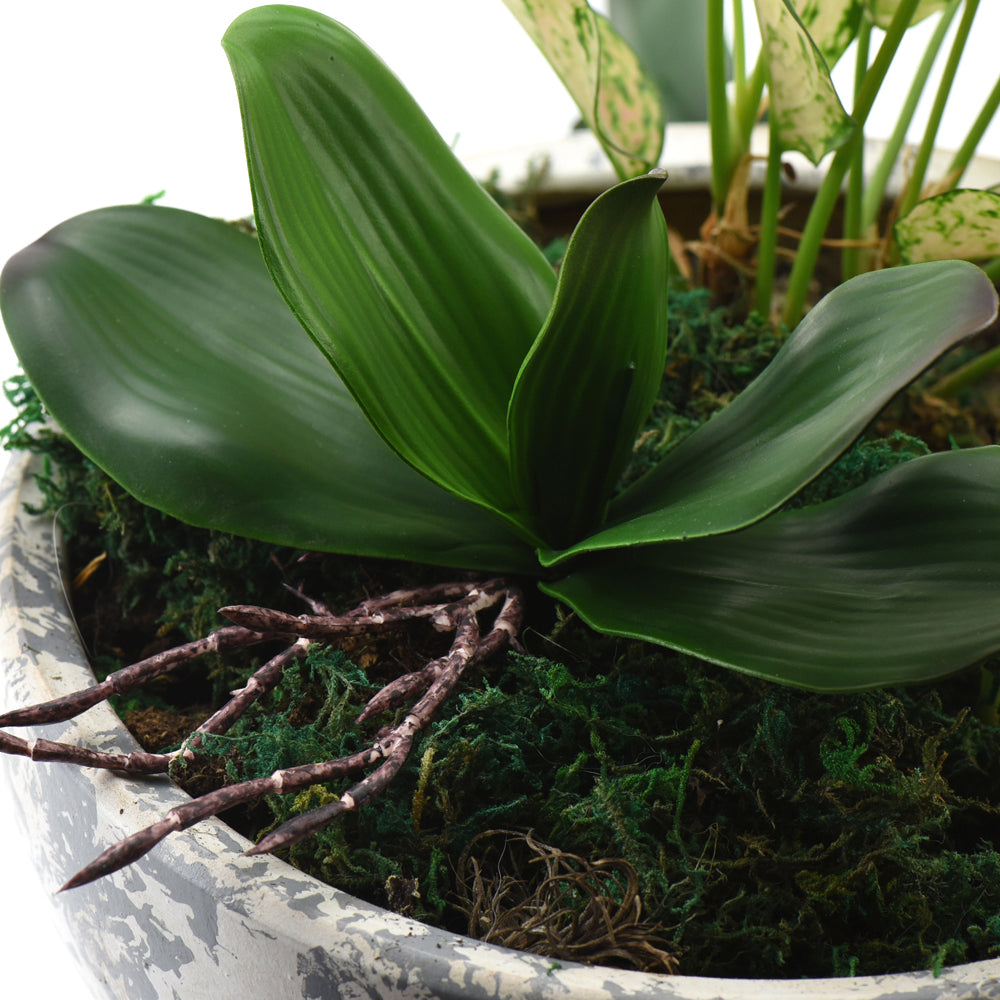 Small Artificial Real Touch Orchid Leaf& Root Bundles,Simulation Green Plants