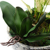 Translation missing: pt-PT.sections.featured_product.gallery_thumbnail_alt
