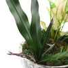 Translation missing: pt-PT.sections.featured_product.gallery_thumbnail_alt
