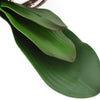 Translation missing: pt-PT.sections.featured_product.gallery_thumbnail_alt
