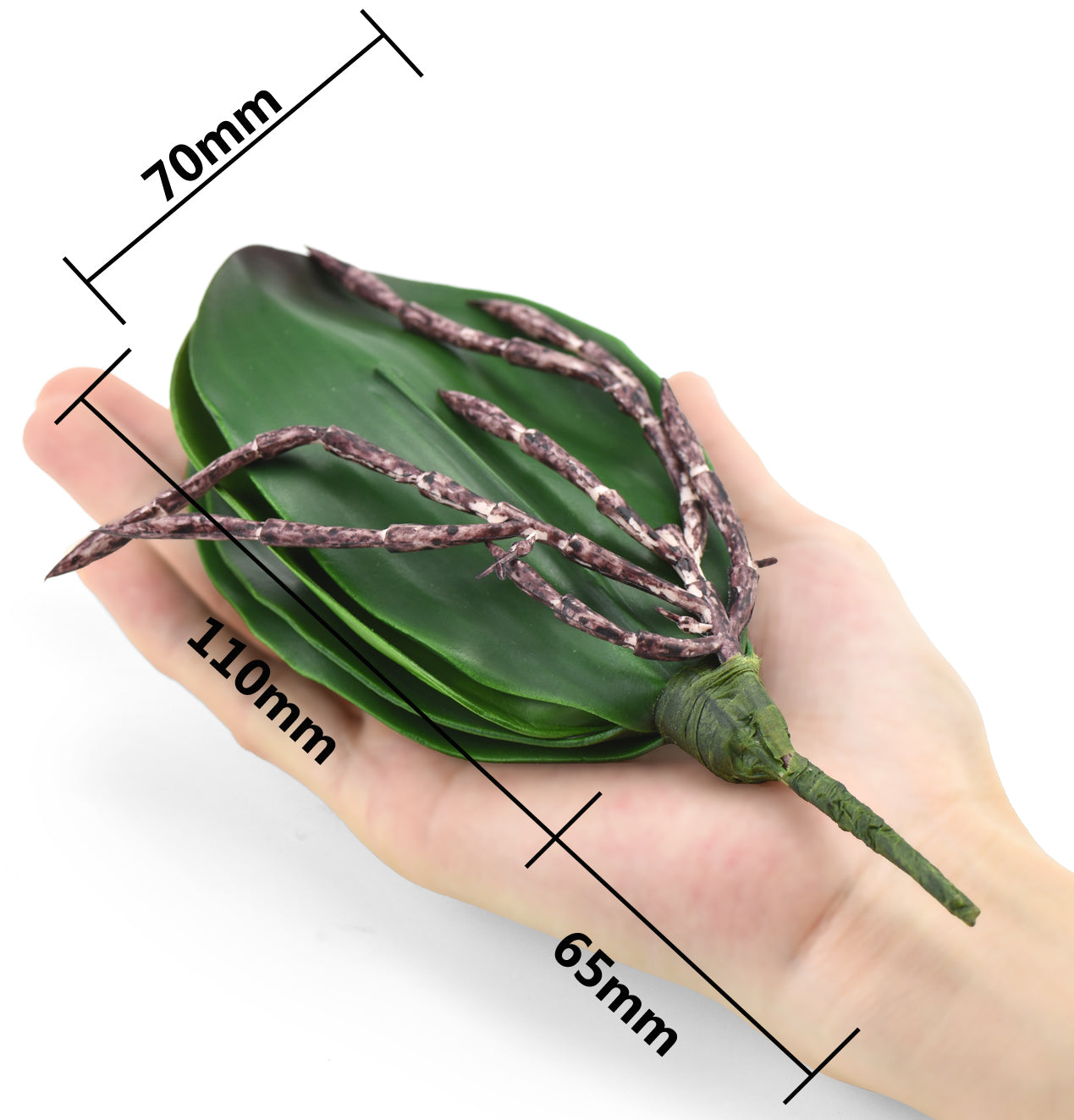 Small Artificial Real Touch Orchid Leaf& Root Bundles,Simulation Green Plants