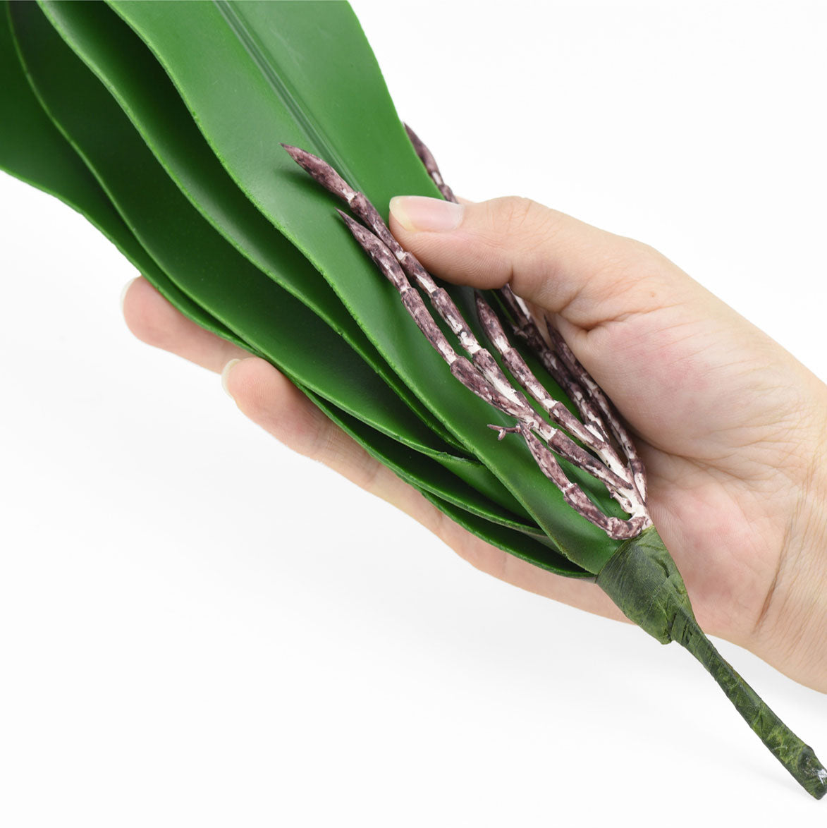 Cymbidiums Leaf Artificial Real Touch Orchid Leaf& Root Bundles,Simulation Green Plants