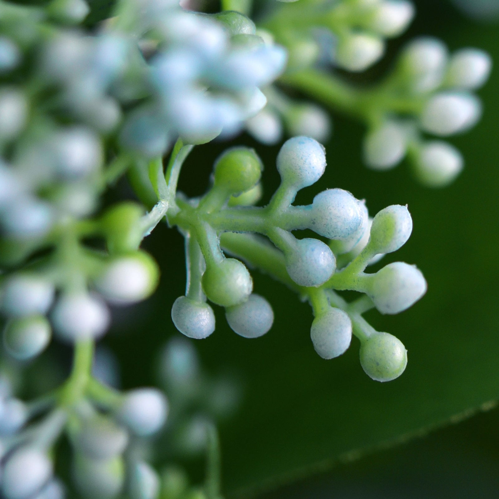 Viburnum (Waxy Blue) Long Stem Artificial Silk Flowers, Filler Flower, Wedding, Home Decor, Arrangment 6 Stems