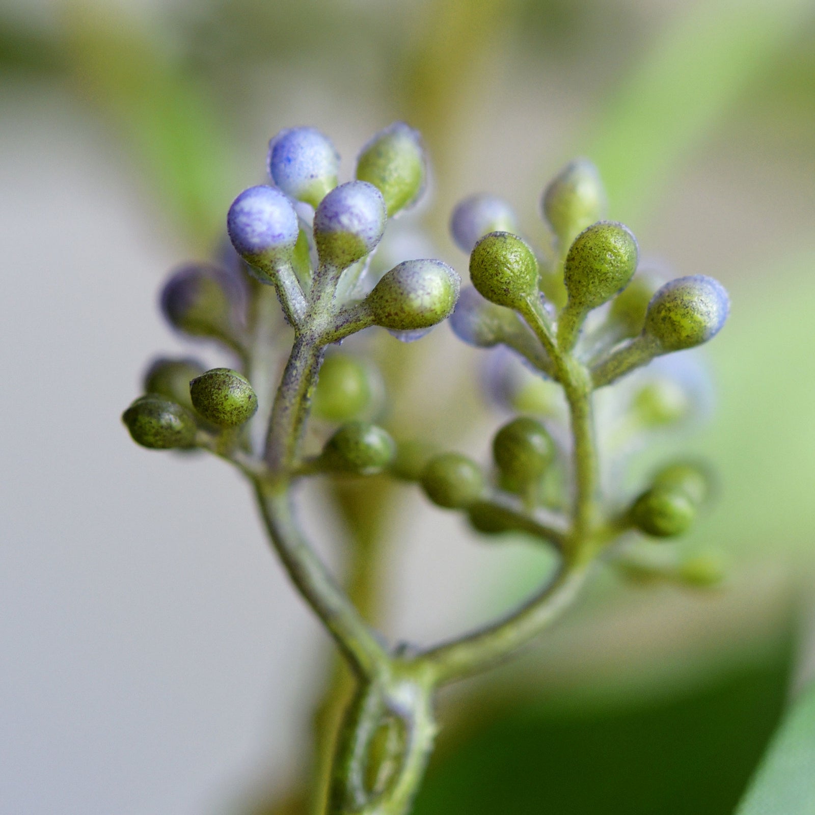 Viburnum (Serene Violet) Long Stem Artificial Silk Flowers, Filler Flower, Wedding, Home Decor, Arrangment 6 Stems