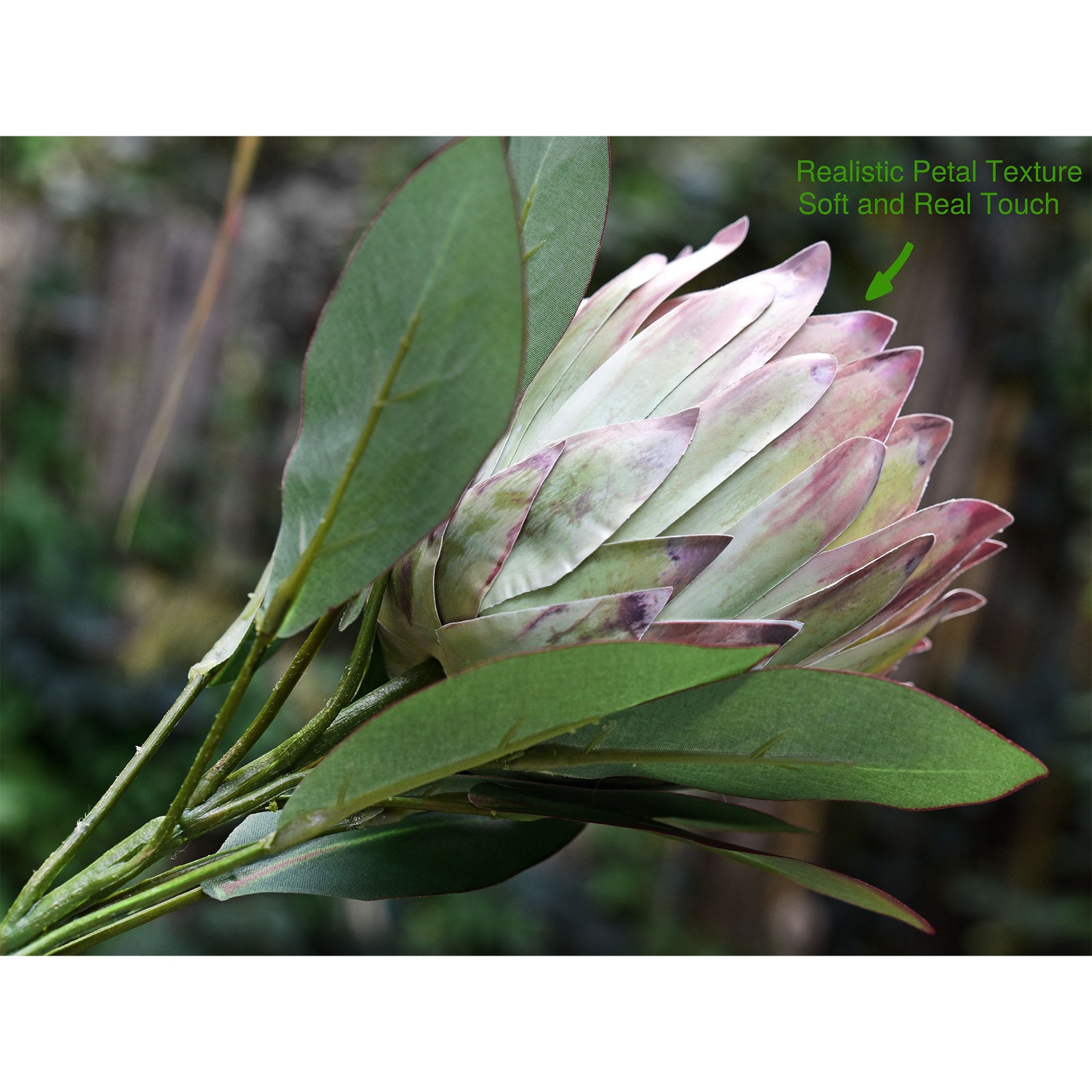 Chestnut Floral White King Protea Silk Tropical Artificial Flowers 2.5 feet Tall
