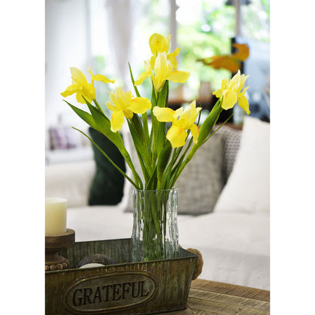 6 Long Stems Iris (Yellow) Real Touch Artificial Flower Bouquet