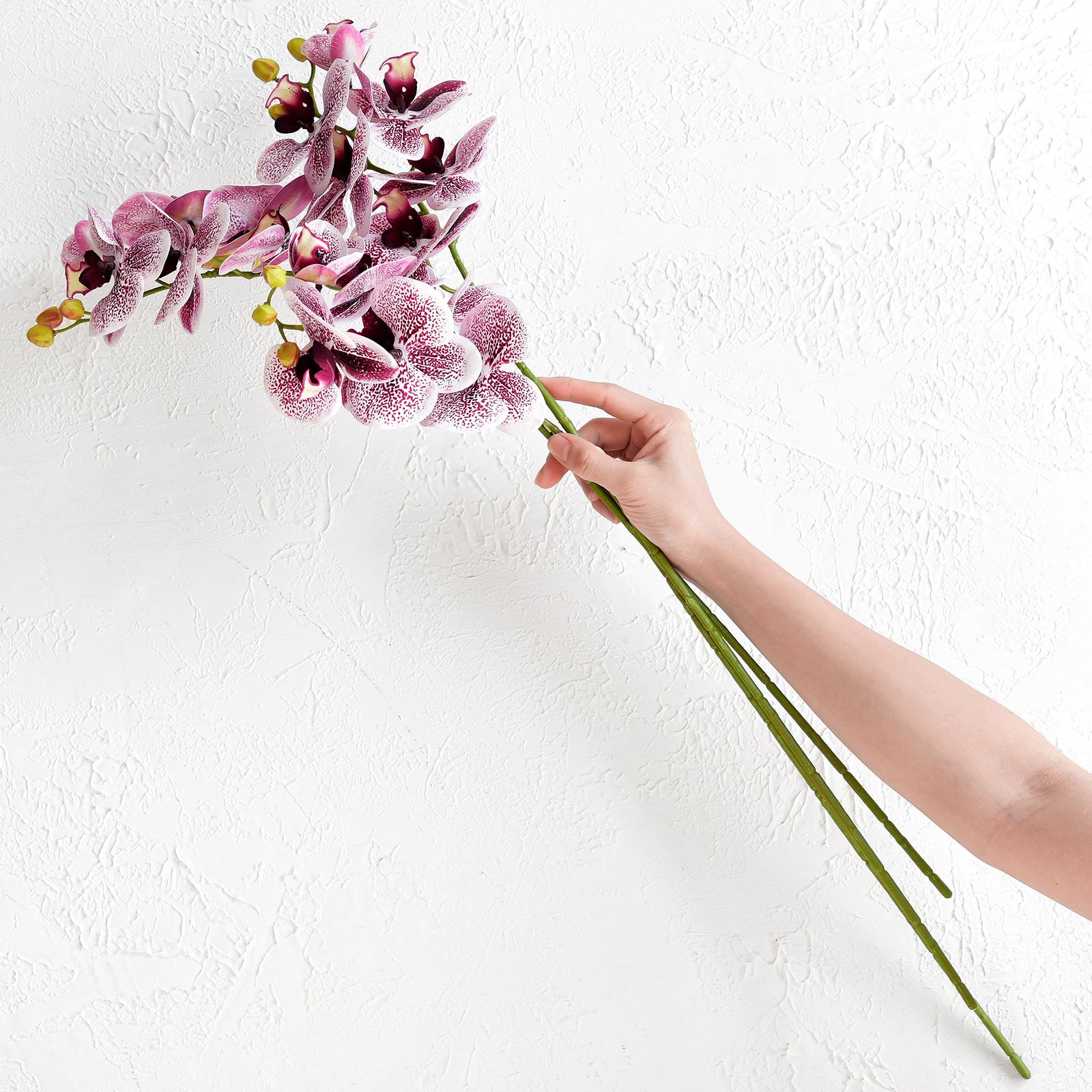 Light Magenta 2 Stems Real Touch Artificial Butterfly Orchids/Moth Orchid/Phalaenopsis Flowers 27.6" Tall 70cm