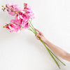 Translation missing: es.sections.featured_product.gallery_thumbnail_alt
