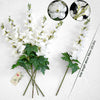 Translation missing: it.sections.featured_product.gallery_thumbnail_alt

