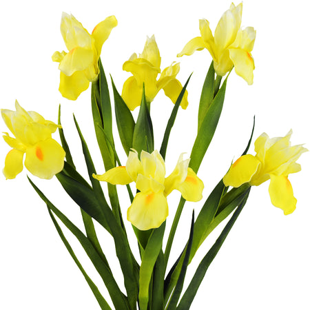 6 Long Stems Iris (Yellow) Real Touch Artificial Flower Bouquet