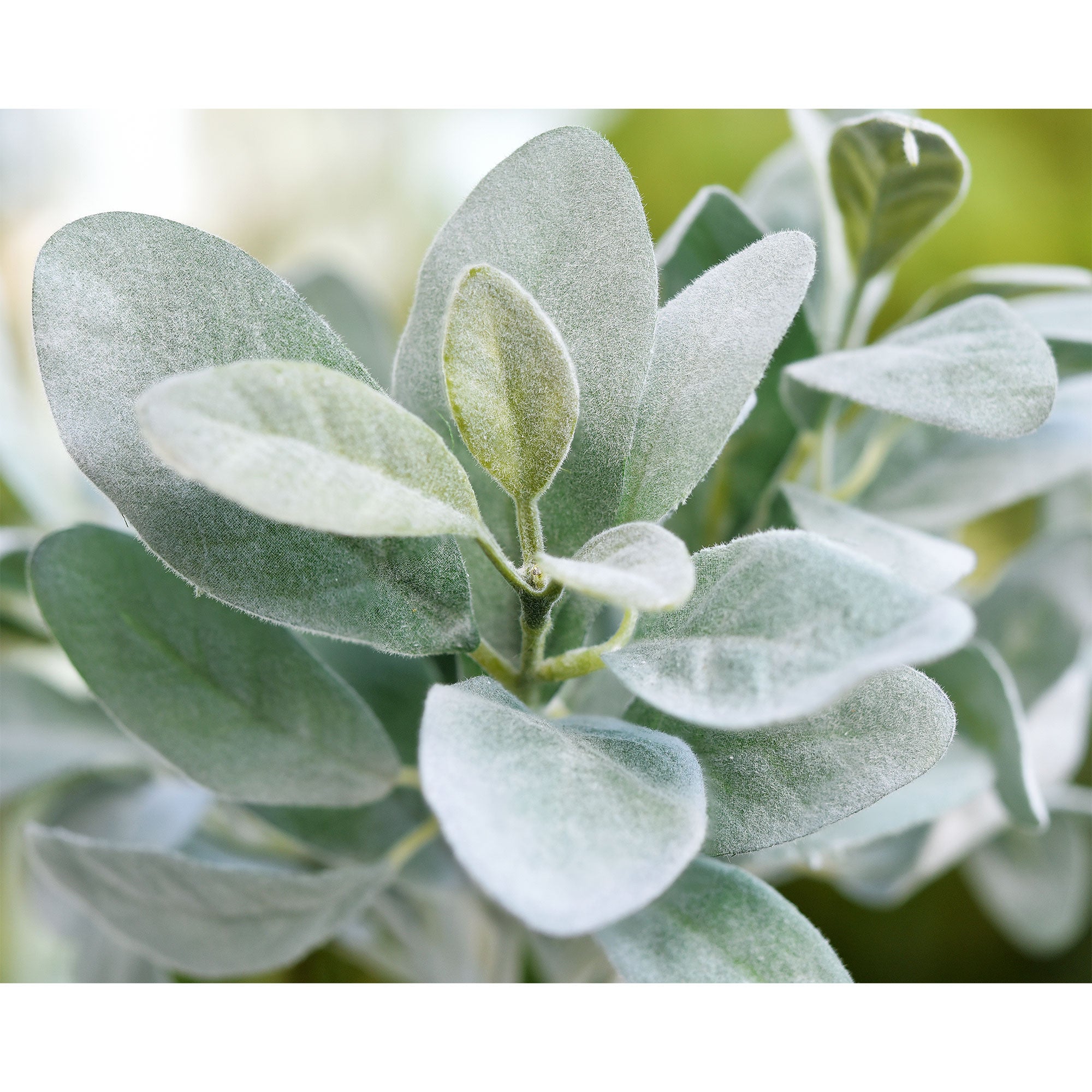 faux lambs ear potted plant FiveSeasonStuff Sage Green Lamb's Ear Artificial Greenery Bush Plants