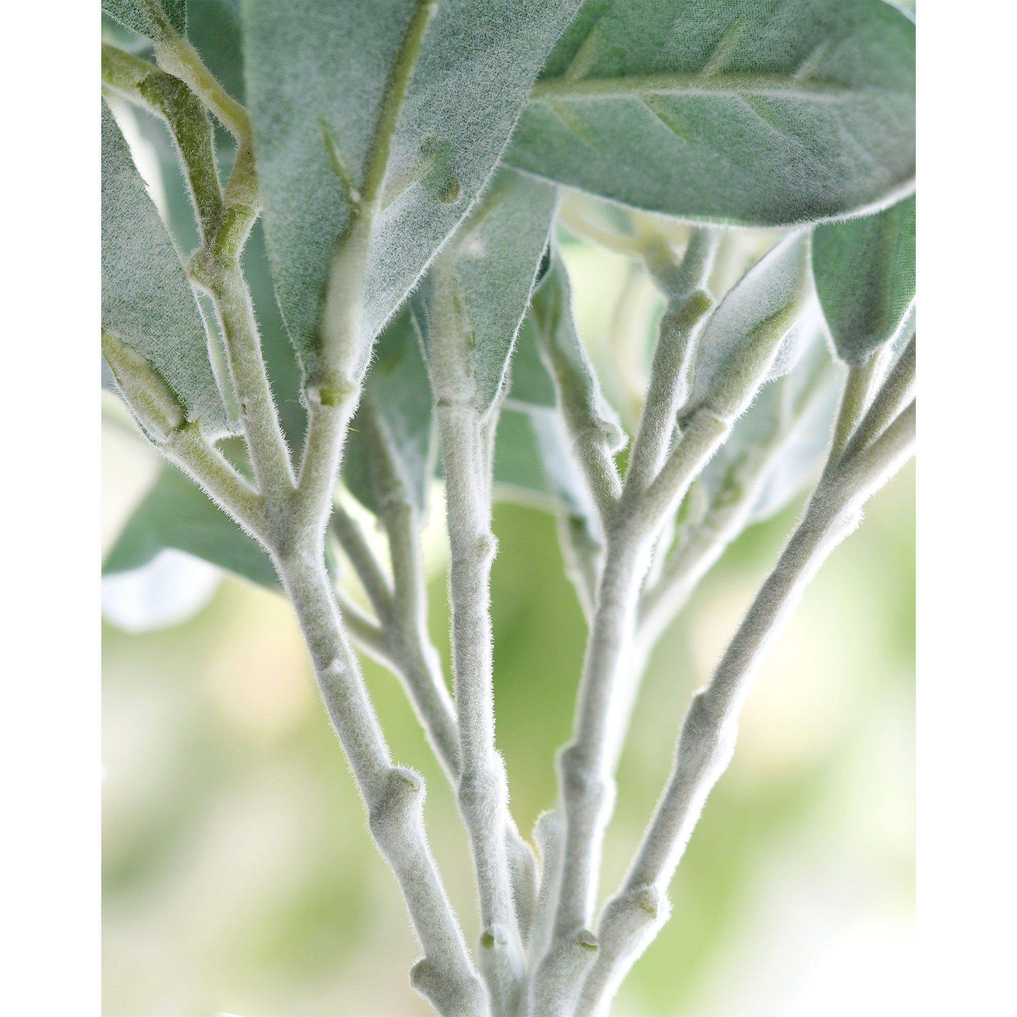 faux lambs ear potted plant FiveSeasonStuff Sage Green Lamb's Ear Artificial Greenery Bush Plants