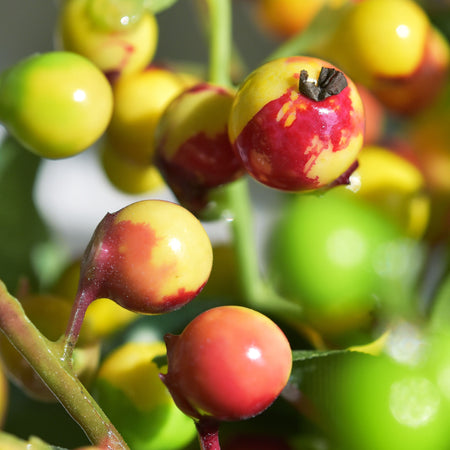 10 Stems Artificial (Yellow) Berry Bouquet 9.8 Inches (25cm) -FiveSeasonStuff