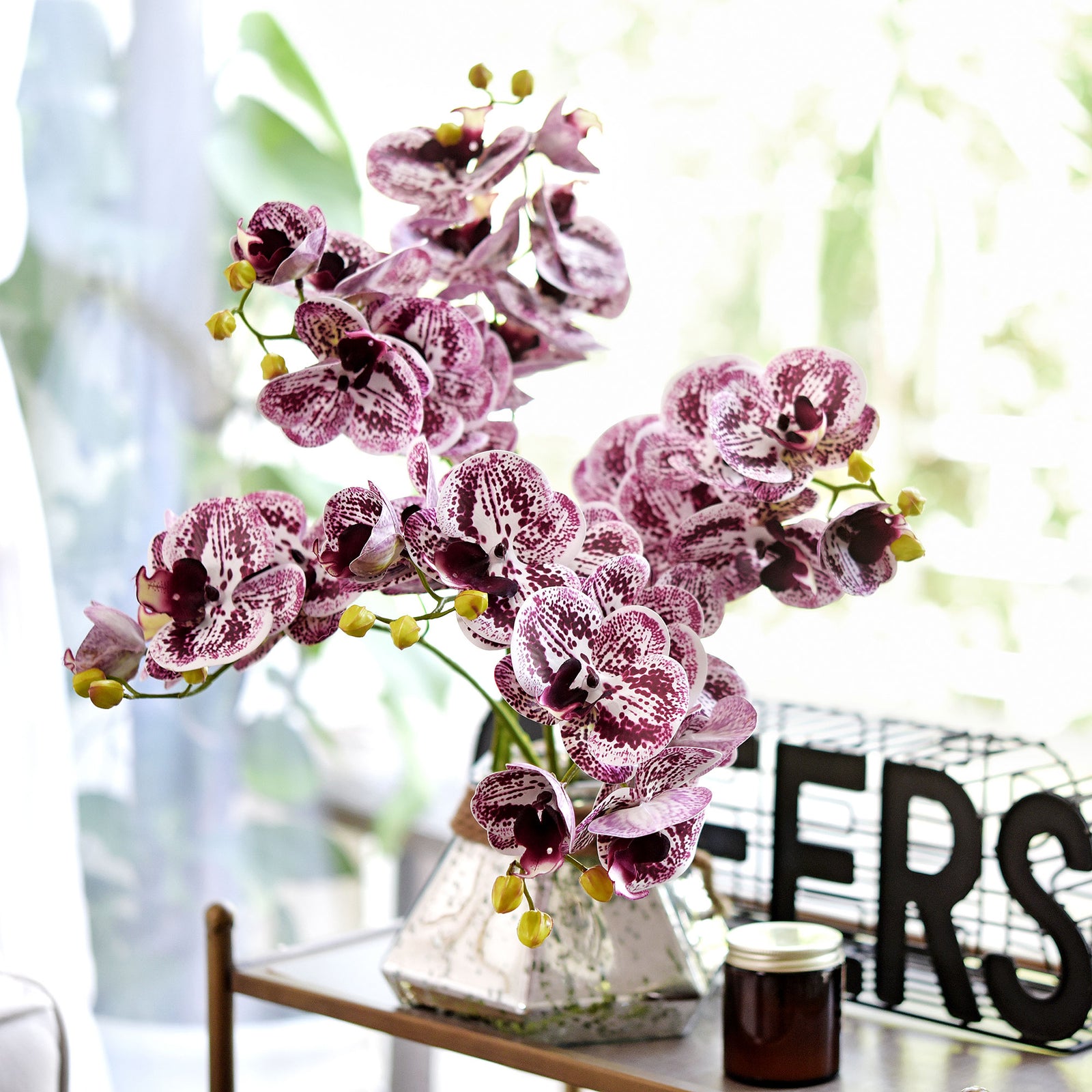 Dark Magenta 2 Stems Real Touch Artificial Butterfly Orchids/Moth Orchid/Phalaenopsis Flowers 27.6" Tall 70cm