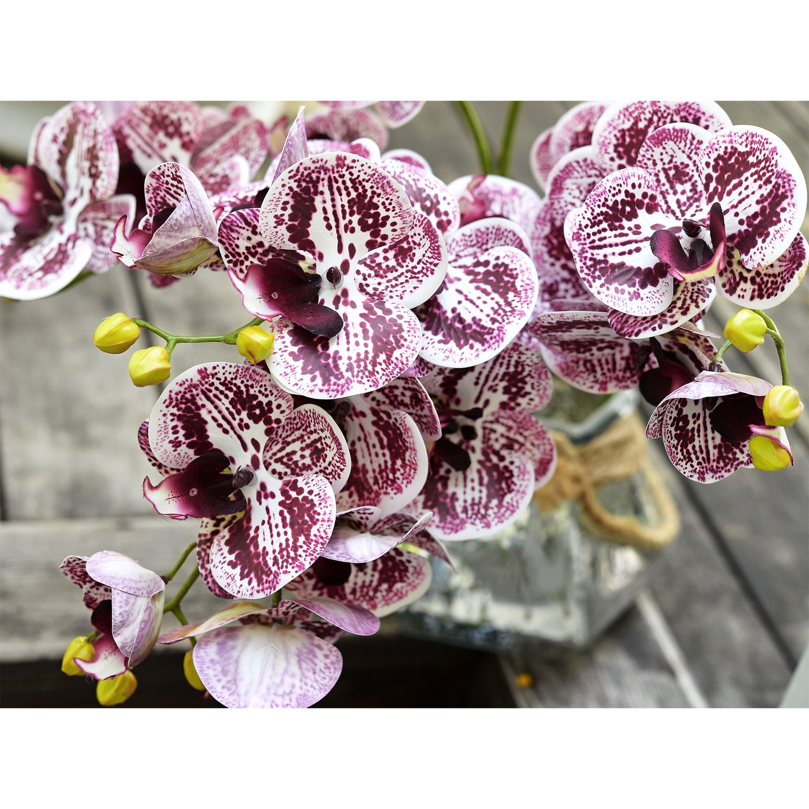 Dark Magenta 2 Stems Real Touch Artificial Butterfly Orchids/Moth Orchid/Phalaenopsis Flowers 27.6" Tall 70cm