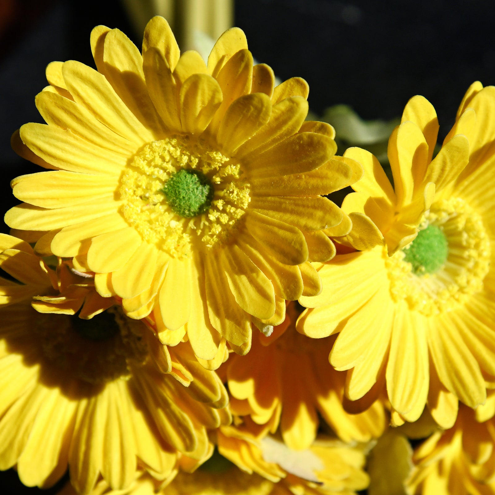 Real Touch Gerbera Flower Stems, Set of 7, 12.2 Inch – 8 Colors