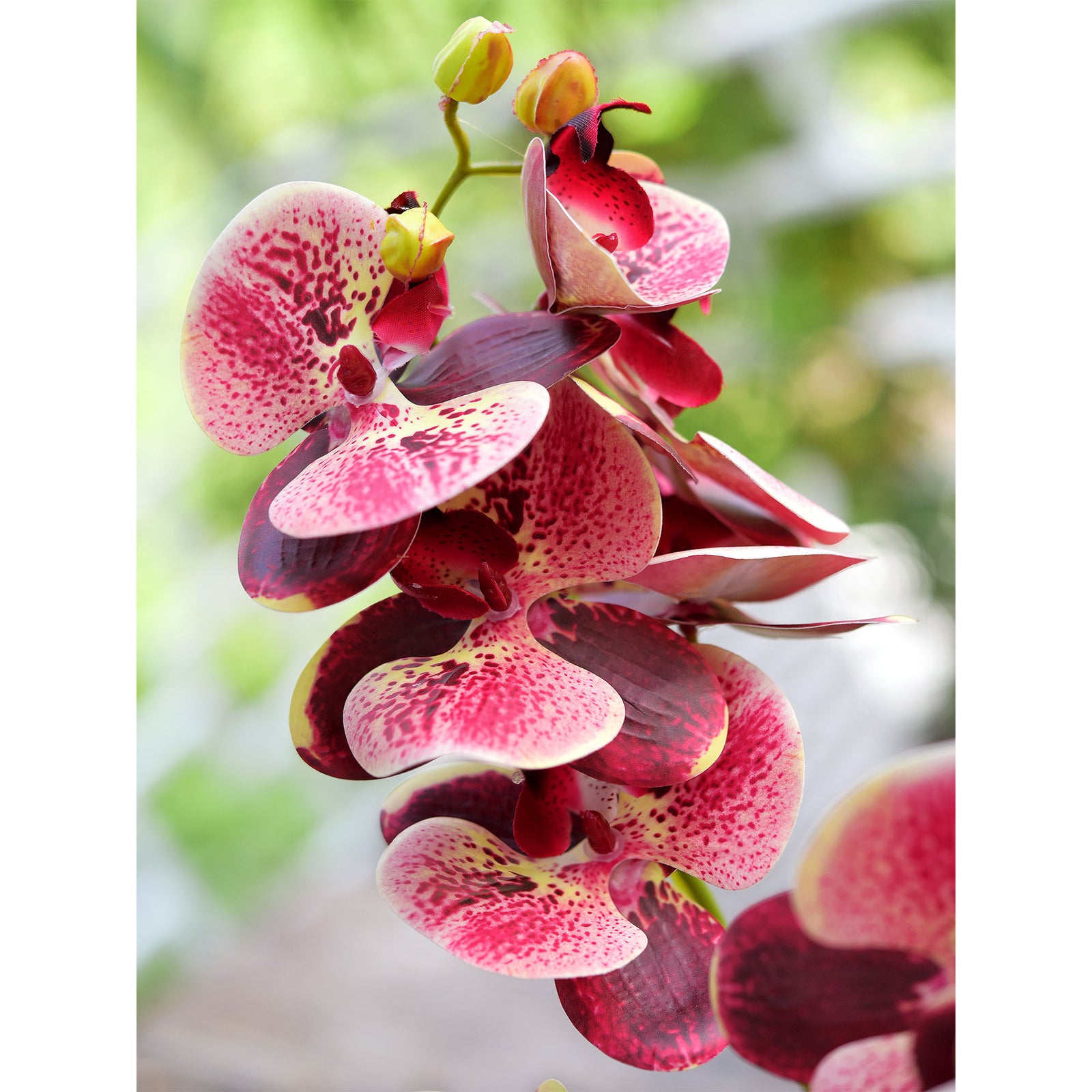 Tropical Berry Pink 2 Stems Real Touch Artificial Butterfly Orchids/Moth Orchid/Phalaenopsis Flowers 27.6" Tal 70cm