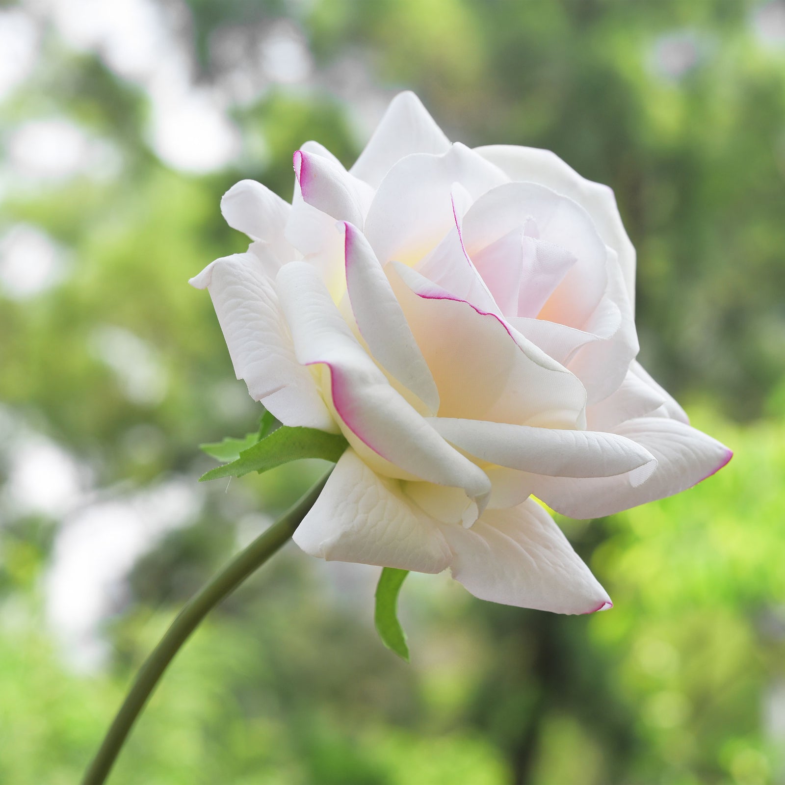 FiveSeasonStuff Light Peach Real Touch Garden Rose Artificial Flowers Wedding, Bridal, Home Décor 5 Stems 9.8"