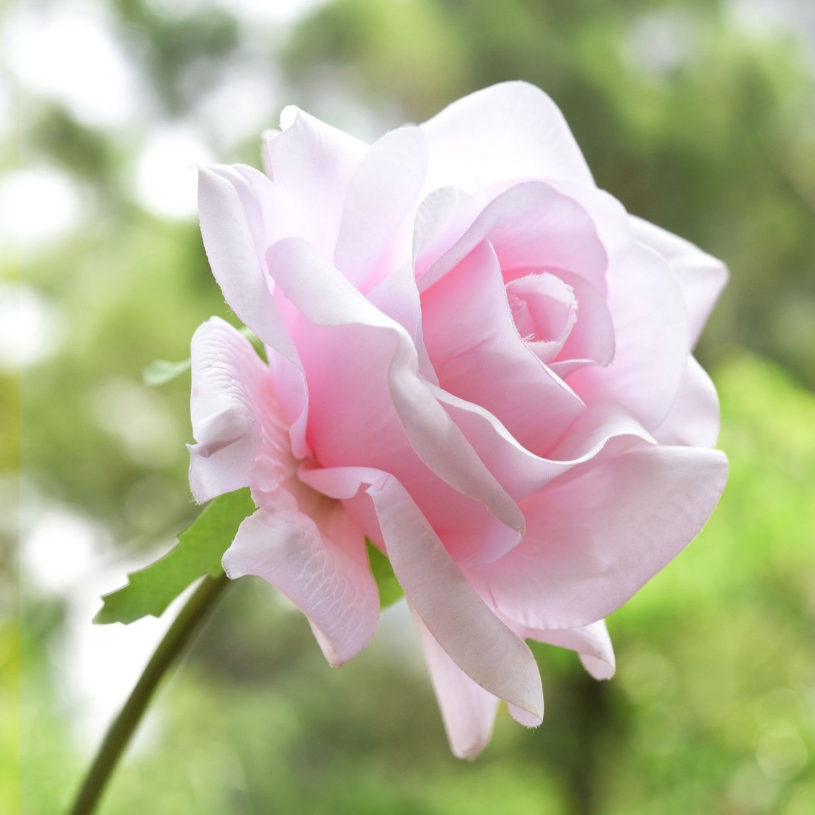 FiveSeasonStuff Light Pink Real Touch Garden Rose Artificial Flowers Wedding, Bridal, Home Décor 5 Stems 9.8"