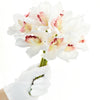 Translation missing: pt-PT.sections.featured_product.gallery_thumbnail_alt
