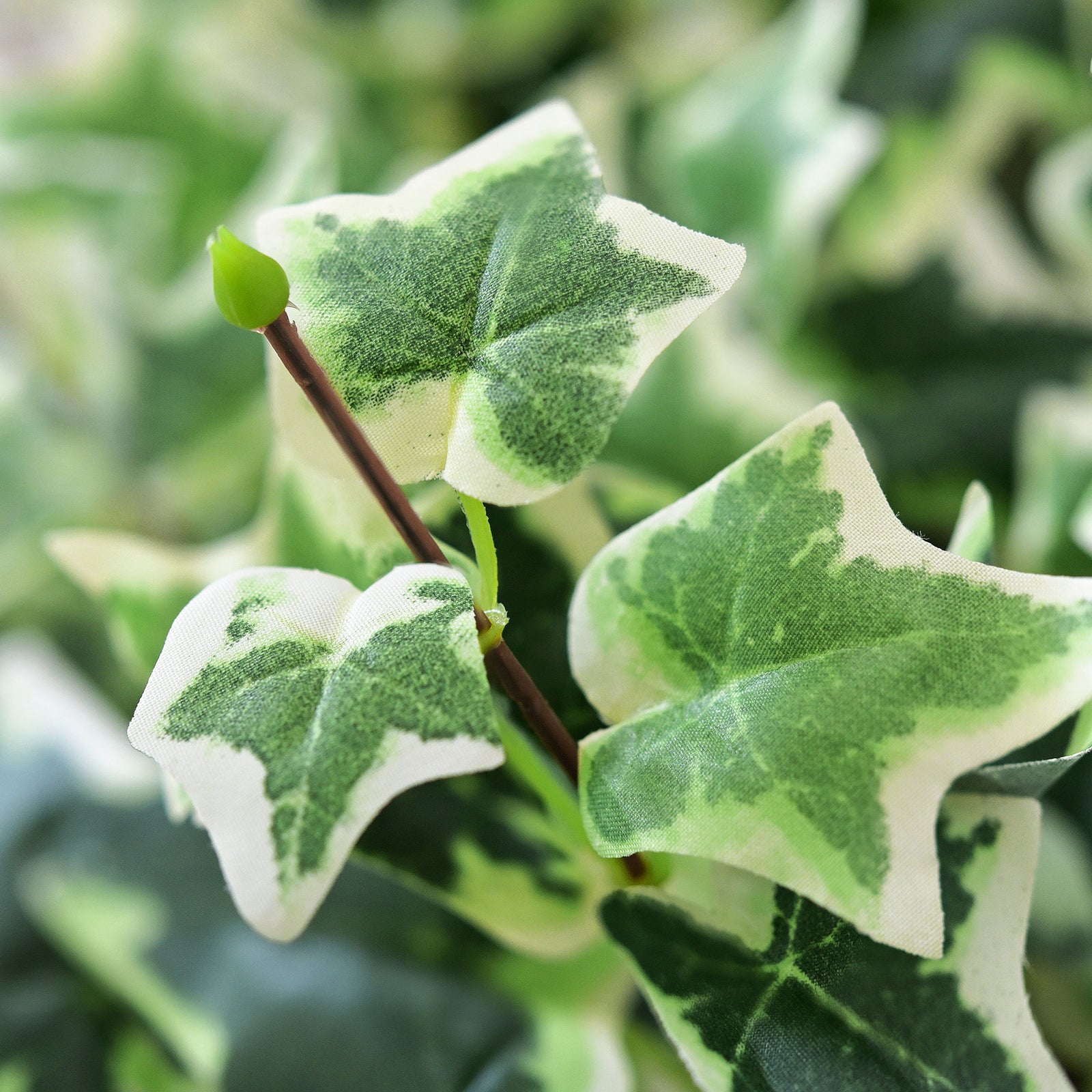 FiveSeasonStuff 4.3 ft (130cm) Cascading Variegated Ivy Artificial Garland