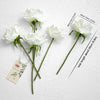 Translation missing: es.sections.featured_product.gallery_thumbnail_alt
