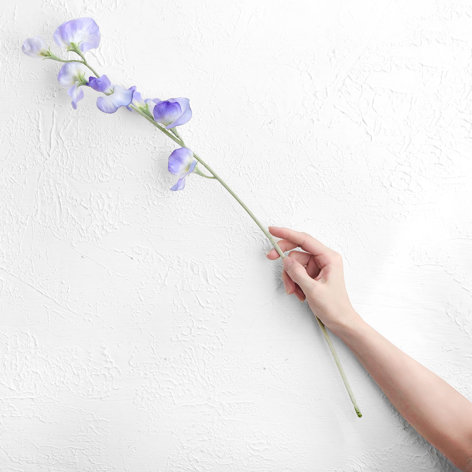 Pale Purple Sweet Pea Flowers Real Looking Artificial flowers Home Décor 24.8'' (6 Stems) FiveSeasonStuff