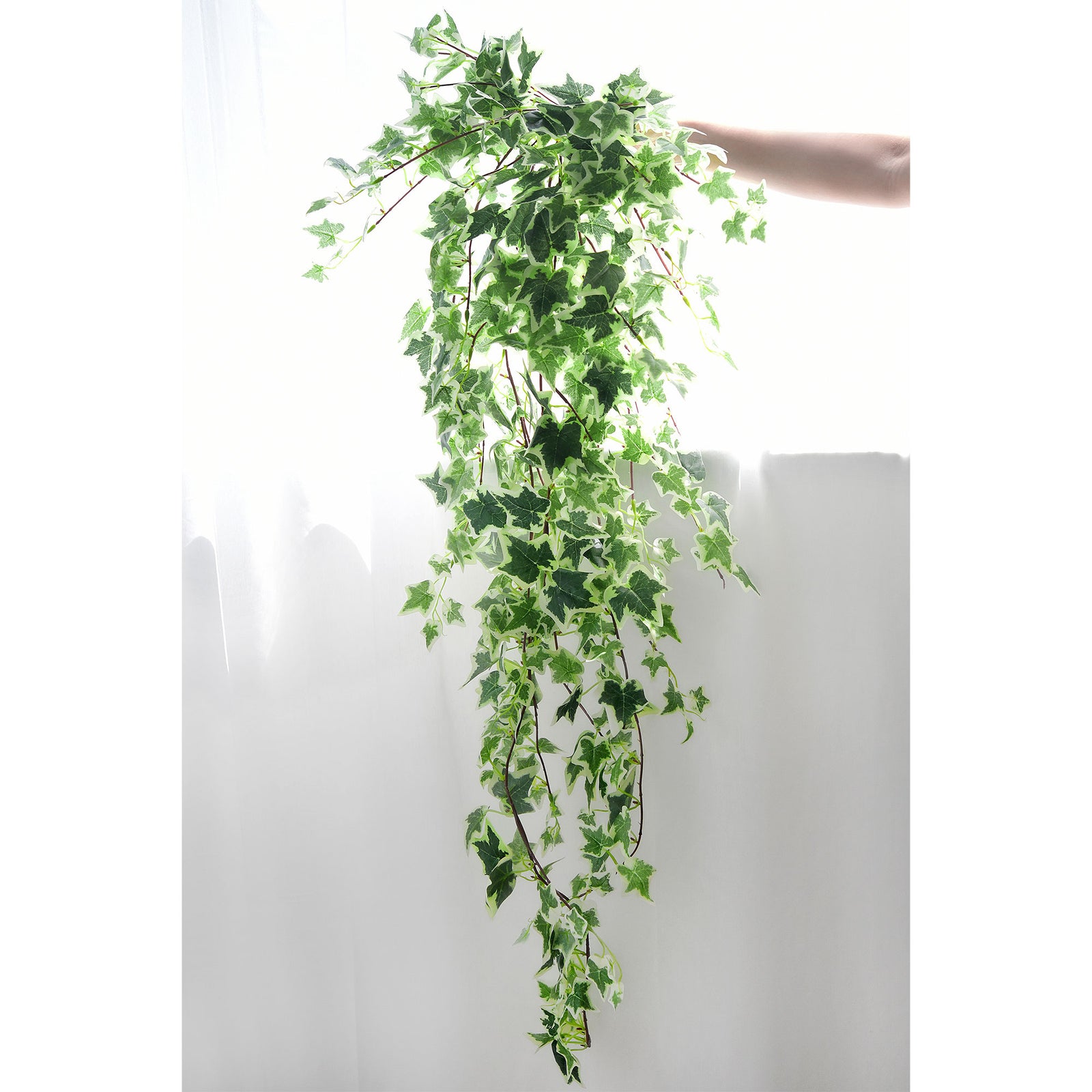 FiveSeasonStuff 4.3 ft (130cm) Cascading Variegated Ivy Artificial Garland