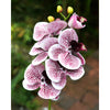 Translation missing: pt-PT.sections.featured_product.gallery_thumbnail_alt
