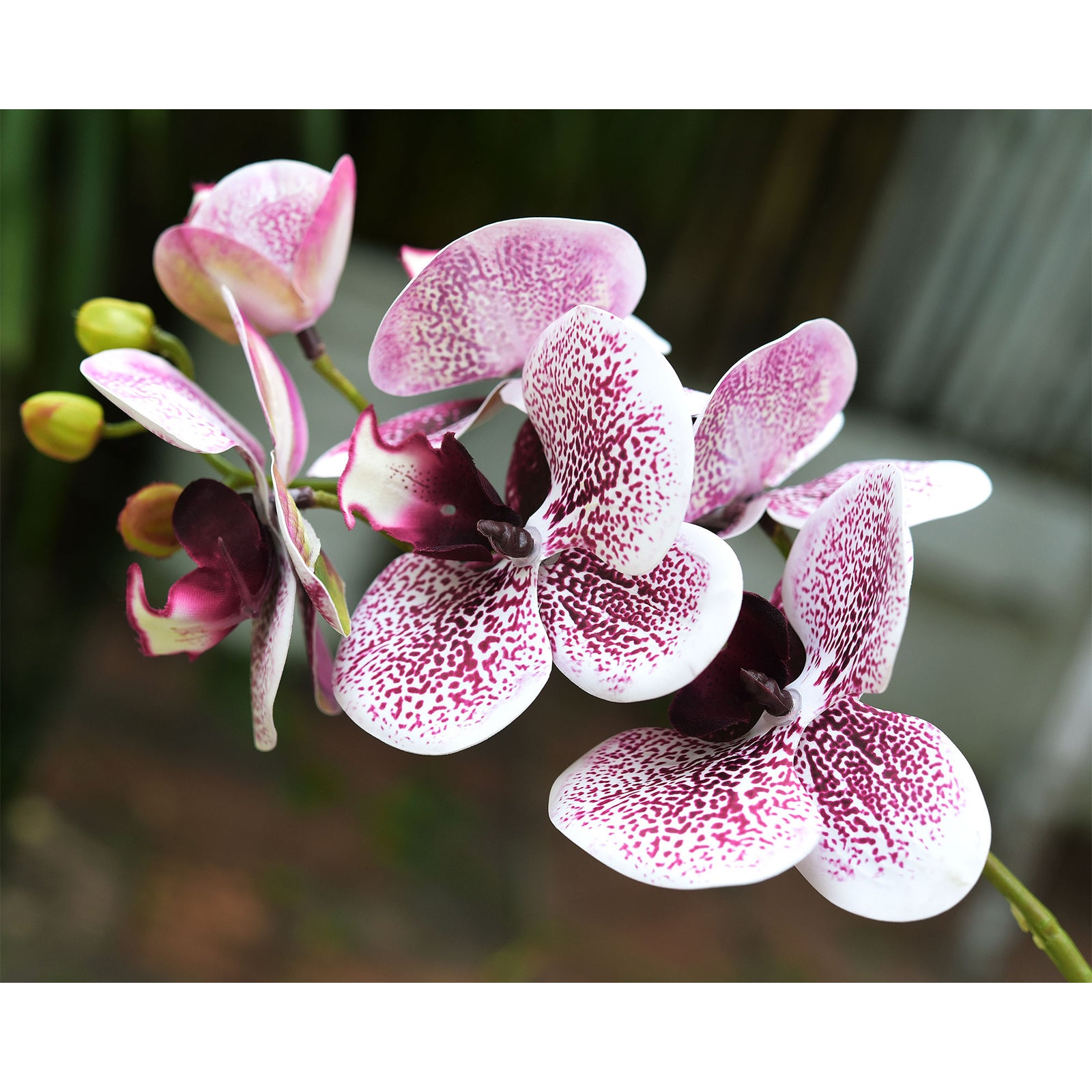 Light Magenta 2 Stems Real Touch Artificial Butterfly Orchids/Moth Orchid/Phalaenopsis Flowers 27.6" Tall 70cm