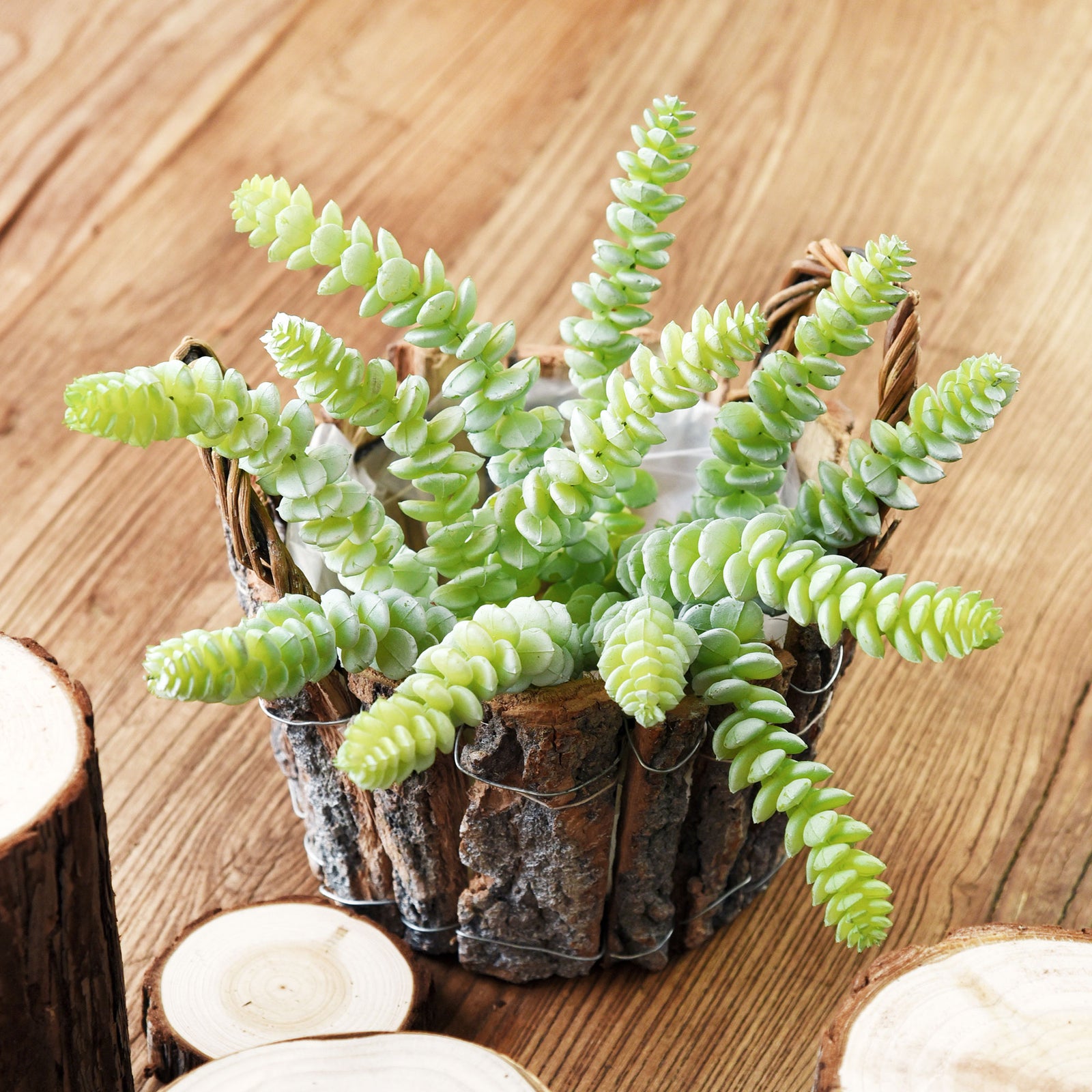 real looking fake succulents 2 Stems Realistic-Looking Artificial/Faux/Fake Succulent Unpotted Plant Bulk for Decoration, Gifts, DIY (Green)